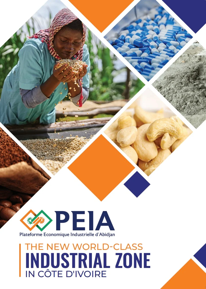 PEIA Brochure 2025, Arise IIP investment guides and documents