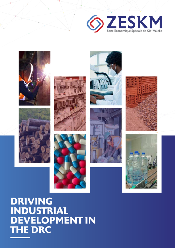 ZESKM Brochure (DRC)
