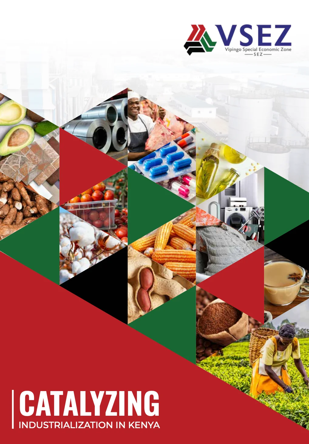 VSEZ Brochure, Arise IIP investment guides and documents