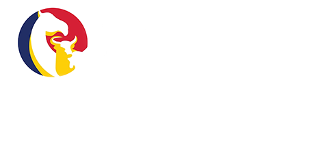 Zone Industrielle du Logone (ZILOG)